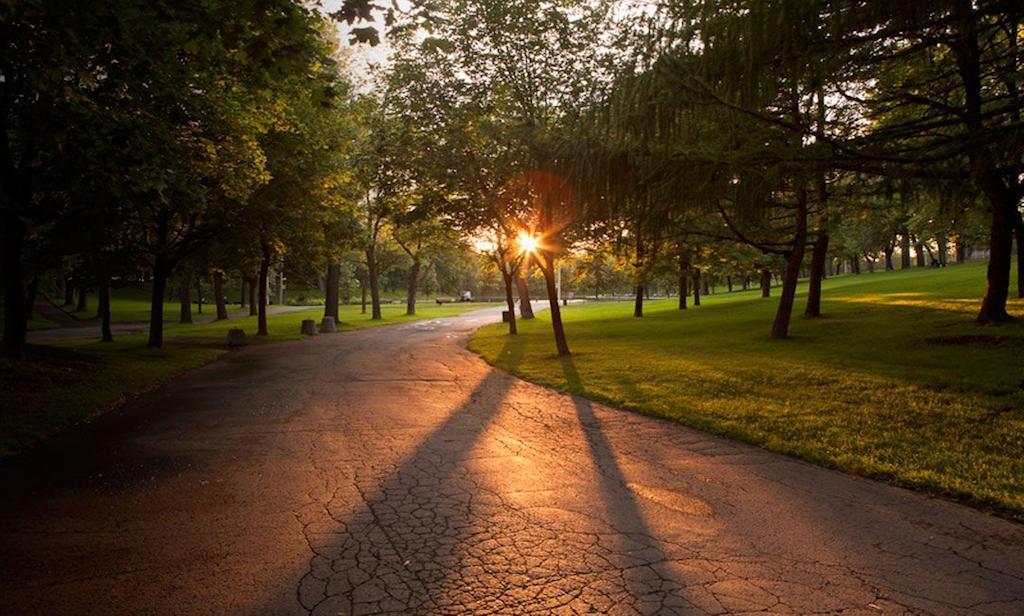 מונטריאול Gite Du Parc Lafontaine מראה חיצוני תמונה